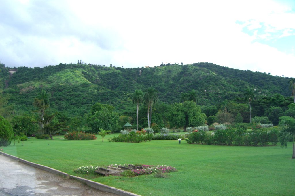 Green space and a pathway at Hope Botanical Gardens, Jamaica